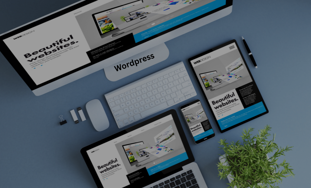 wordpress development
